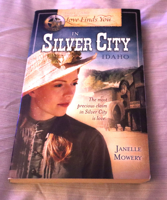 Silver City (good reads 3.7)